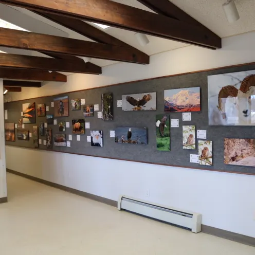 Soldotna Animal Hospital Gallery